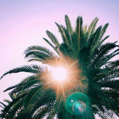 江南体育手机app下载