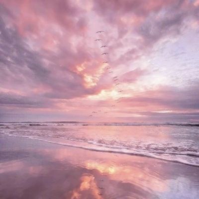 LD乐动体育官方入口