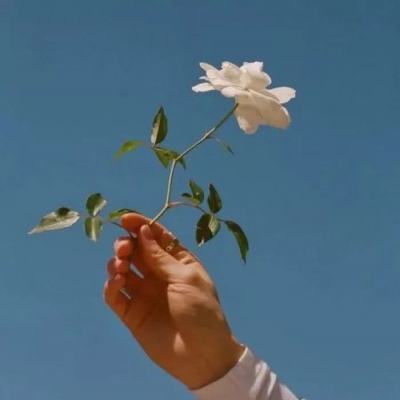 南宫28手机app下载