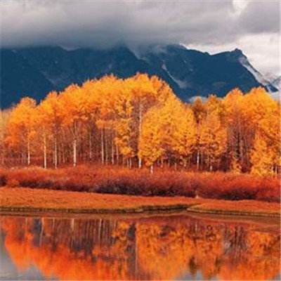 AG大厅网址app下载